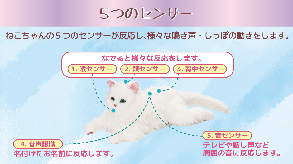 ねこちゃん | DIGIRECT Co.,Ltd