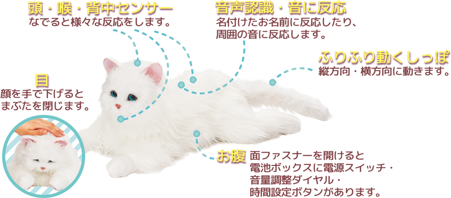 ねこちゃん | DIGIRECT Co.,Ltd