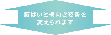 腹ばいと横向き姿勢を変えられます